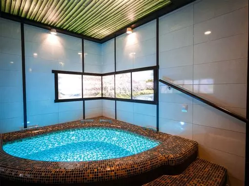 Оздоровительный комплекс «Александрия» Новосибирск