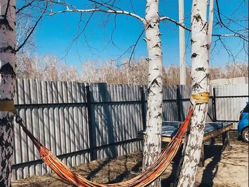 Русская баня на дровах «Березки» Новосибирск