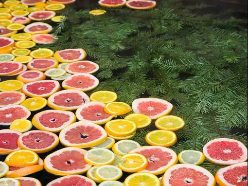 Банный комплекс «КЕЛО» Санкт-Петербург