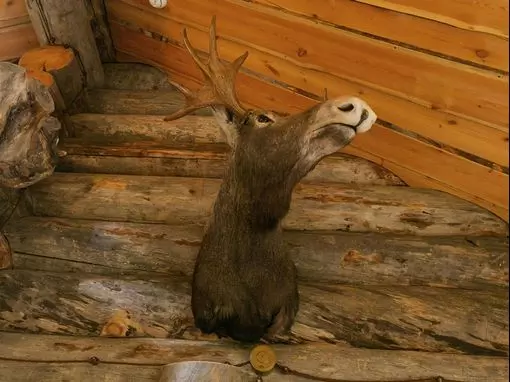 Банный комплекс «Голицынские бани на дровах» Москва