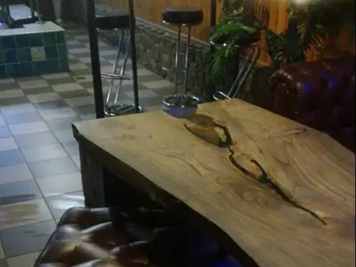 Сауна «на Воронежской» Краснодар