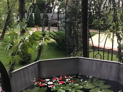 Русская баня на дровах «Райский берег» Краснодар