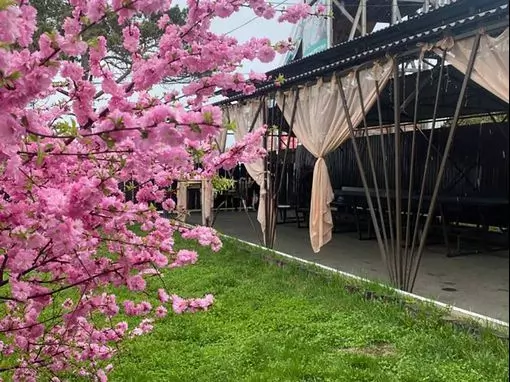 Центр отдыха «Лагуна» Иркутск