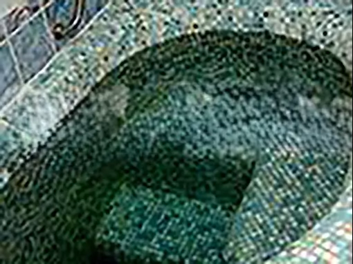 Сауна «Дельфин» Томск