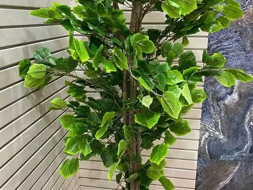 Сауна «Калипсо» Астрахань