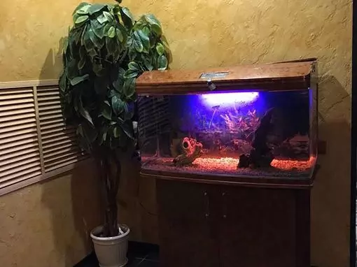 Банный комплекс «Сауна и Хаммам» Ростов-на-Дону