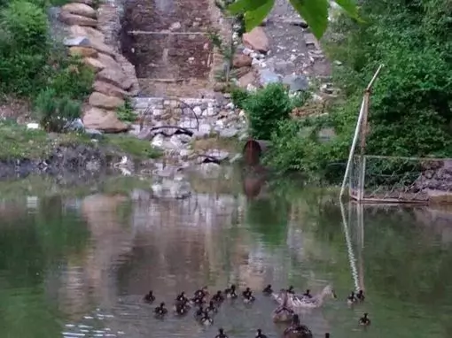 Баня «Монастырская изба» Красная Поляна