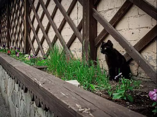 Сауна «НАРОДНАЯ ЗДРАВНИЦА» Челябинск