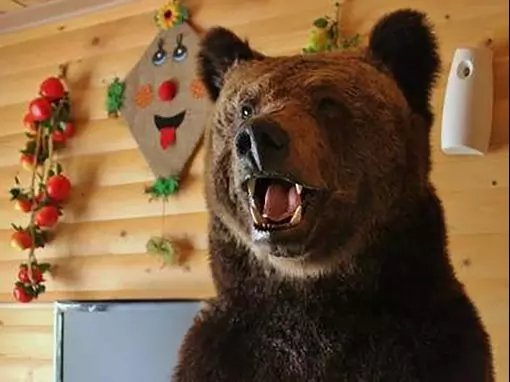 Баня «Охотничий рай» Тула