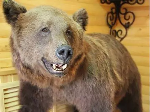 Баня «Охотничий рай» Тула