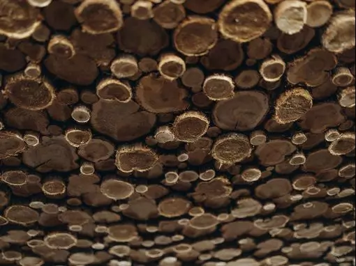 Банный комплекс «Роща» Казань