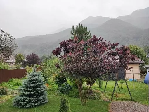 Банный комплекс «Три желания» Красная Поляна