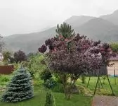 Банный комплекс «Три желания»