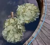 СПА-комплекс «Баньскъ»