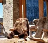 СПА-комплекс «Баньскъ»