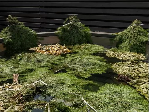 Загородный комплекс «Banya Resort Arkhangelskoye» Москва