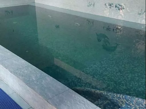 Баня на дровах «Родники» Москва