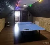 Настольный теннис