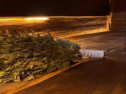 Семейный клуб «Умные бани» Москва