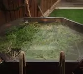 Чан на травяном настое