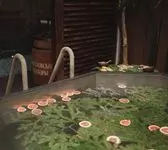 Чан цитрус, пихта