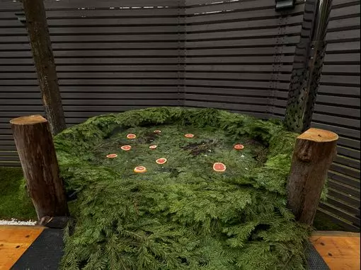 Загородный комплекс «Banya Resort Arkhangelskoye» Москва