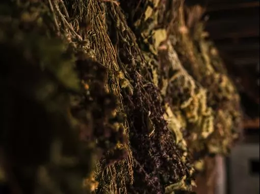 Банный комплекс «Алатырь» Москва