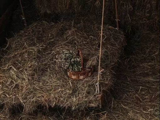 Банный комплекс «Алатырь» Москва