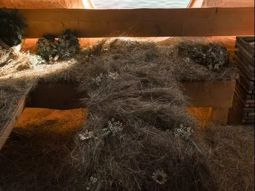 Банный комплекс «Алатырь» Москва