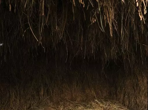 Банный комплекс «Алатырь» Москва