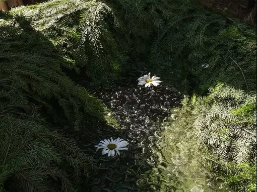 Банный комплекс «Алатырь» Москва