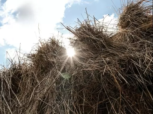 Банный комплекс «Алатырь» Москва