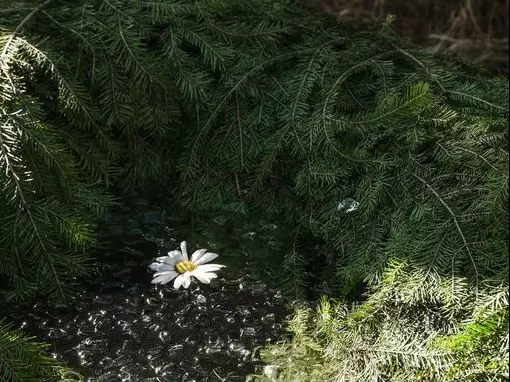 Банный комплекс «Алатырь» Москва