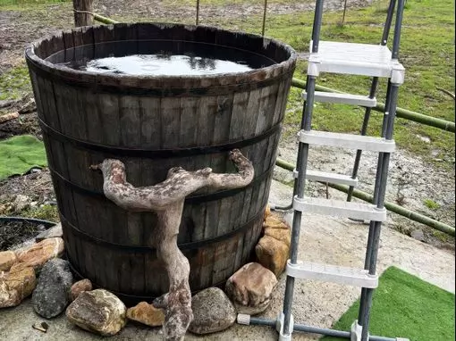 Русская баня «Ранчо» Красная Поляна