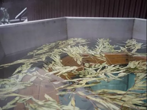 Банный комплекс «Голицынские бани на дровах» Москва