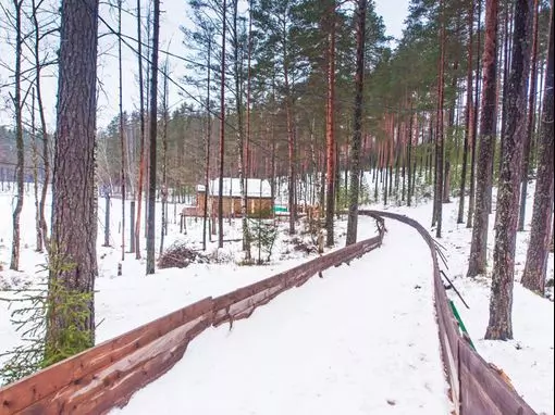 Загородный комплекс «Шишки на Лампушке» Санкт-Петербург