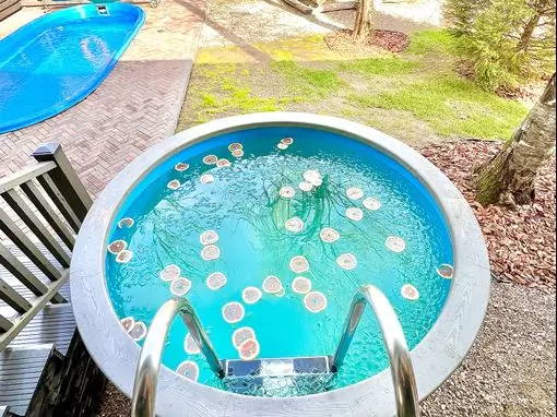 Загородный комплекс «Banya Resort Veshki» Москва