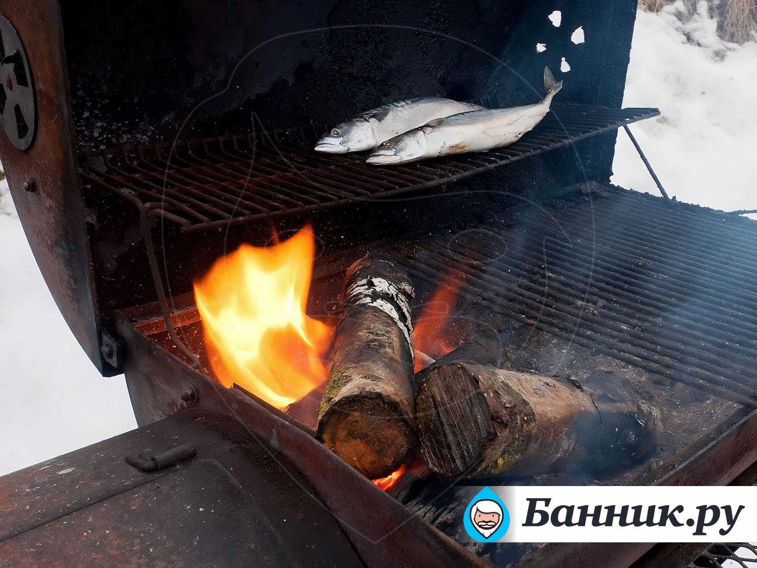 Семейная баня СПА & BBQ «В гостях у Юсси» в Санкт-Петербурге: фото, телефон,  отзывы, цена и адрес на Банник.ру