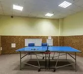 Настольный теннис