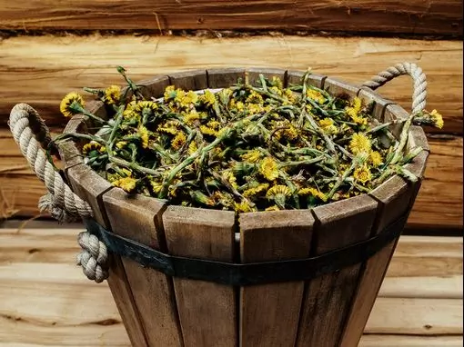 Семейный клуб «Умные бани» Москва