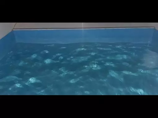 Сеть саун «Сибирский вариант на ул. Октябрьской» Красноярск