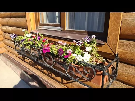 Гостевой дом «с банями в Цветах Башкирии» Уфа