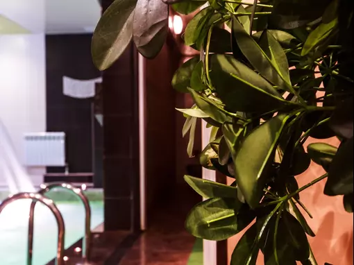 Комплекс «Комплекс SPA-саун» Москва