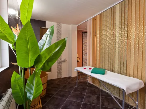 Комплекс «Комплекс SPA-саун» Москва