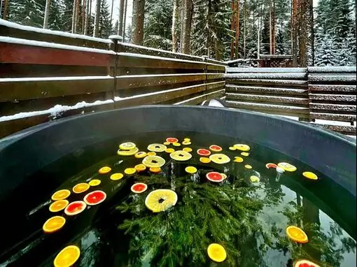 Дом с баней «Гармония» Санкт-Петербург