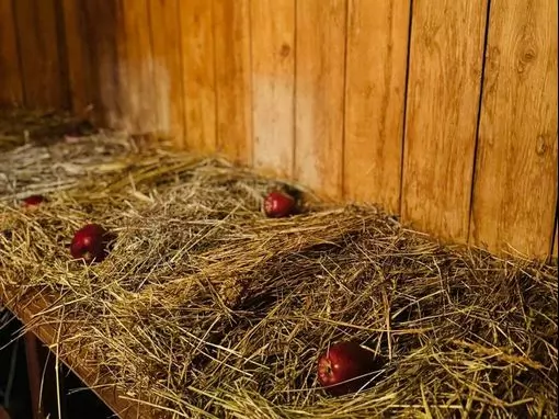 Банный комплекс «Банное подворье» Ростов-на-Дону