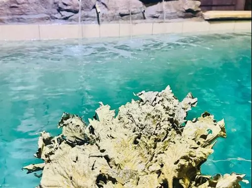 Банный комплекс «Банное подворье» Ростов-на-Дону