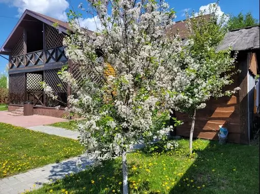 Банный комплекс «Лукоморье» Нижний Новгород