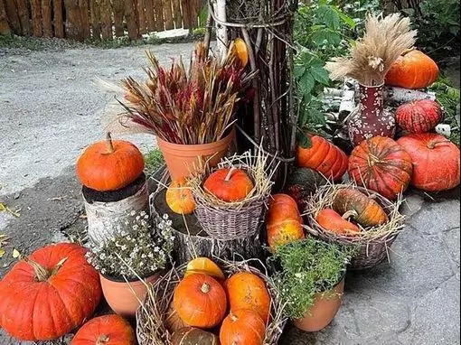 Банный комплекс «Емеля Карьерный Лог» Новосибирск