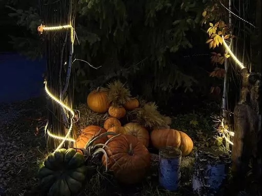 Банный комплекс «Емеля на Бурденко» Новосибирск